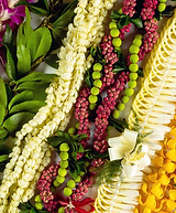 Screenshot 2020-10-19 at 6.49.32 PM.png