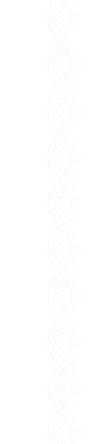 lace 2.png