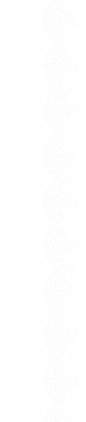 lace 2.png