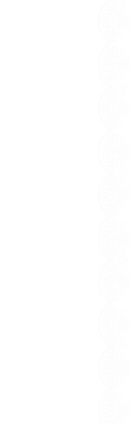 lace 2.png