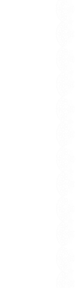 lace 2.png