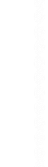 lace 2.png