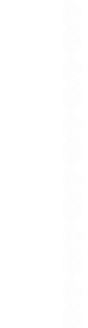 lace 2.png