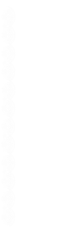 lace 3.png