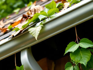 The Real Cause of Gutter Corrosion Isn't Usually the Aluminum