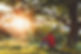 photo for wix_edited.jpg
