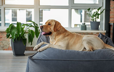 AdobeStock_179428519.jpeg