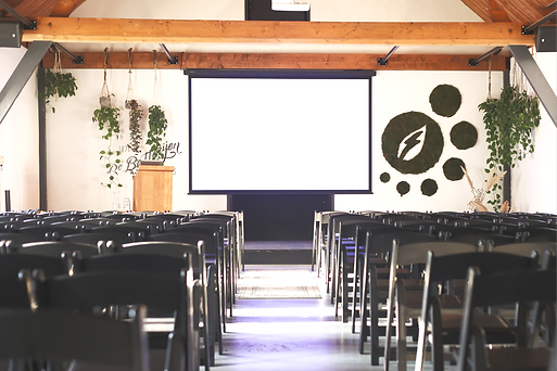 6V9A0705 copy_edited.png