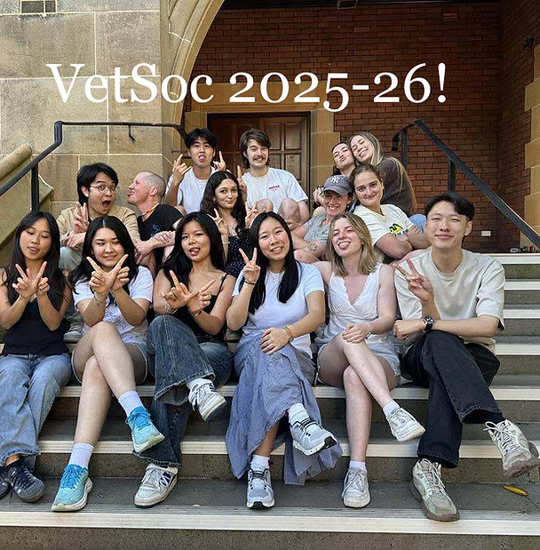 d5dce39fe96138681db414f660f2c084_edited.