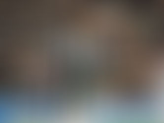 Newcastle Cruise Into Champions League Round of 16 After Qarabağ Victory