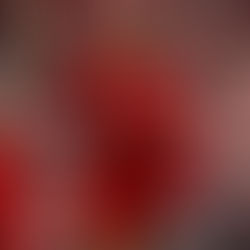 Liverpool 2–0 Fulham: Rio Ngumoha Shines as Reds Return to Winning Ways