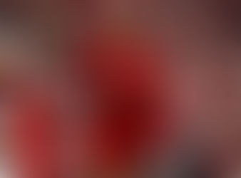 Liverpool 2–0 Fulham: Rio Ngumoha Shines as Reds Return to Winning Ways