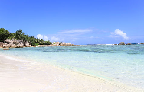 CR8A5487_edited.jpg