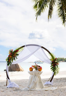 Sommer's Pears Wedding.jpg