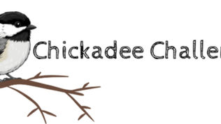 Bird Identification:  Be a Citizen Scientist