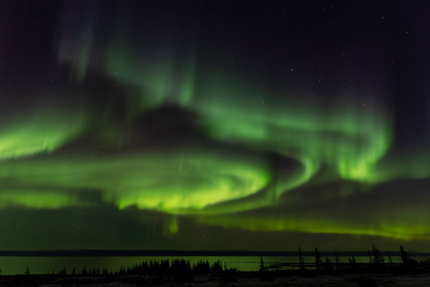 Breathtaking nature wildlife photography of the green Aurora Borealis swirling over a dark Arctic landscape.