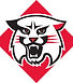 Davidson College.jpg