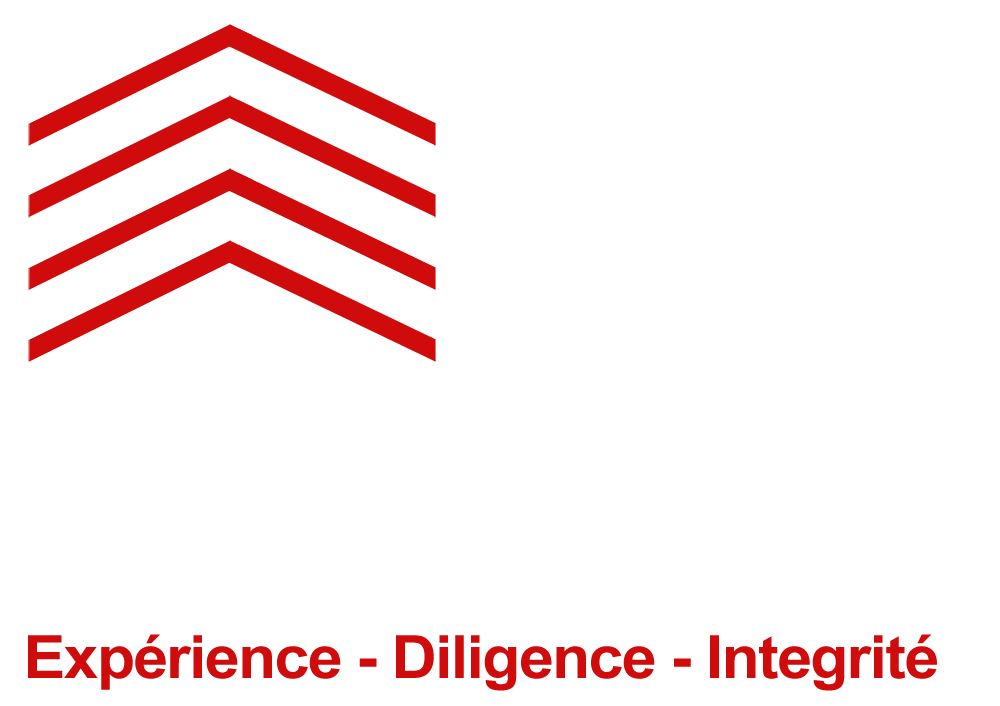 Logo 2025 PSD OFFICIAL WHITE 1000px WEBSITE Depuis 2009.png