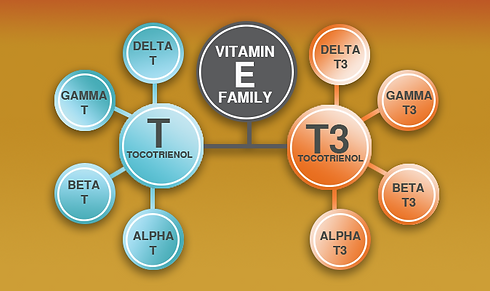 VITAMN E FAMILY.png