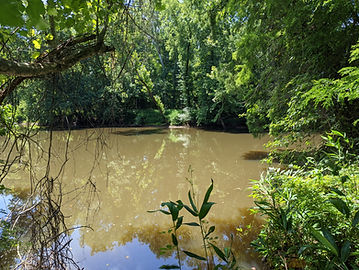 PXL_20220621_160143002.jpg