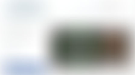 Novo Site