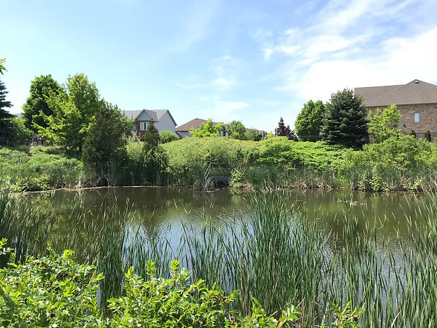 Stormwater Pond Aeration, Water Treatments and Consulting.jpeg