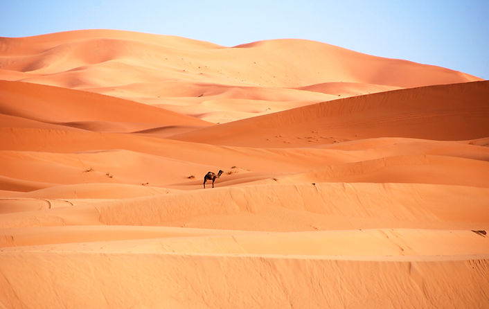 nasalune-fck-desert-1916882_edited.jpg