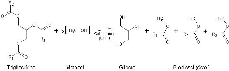 reação quimica biodiesel