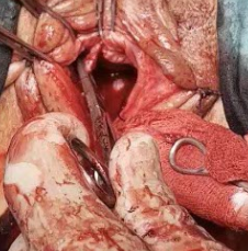 Screenshot at Nov 21 16-35-44.png