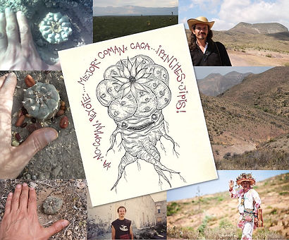 T2 B.Peyote.jpg