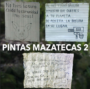 DET 5 Pinta.Maz 2.jpeg