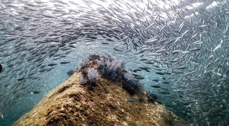 WhatsApp Image 2024-11-27 at 11.04.32 PM (1).jpeg