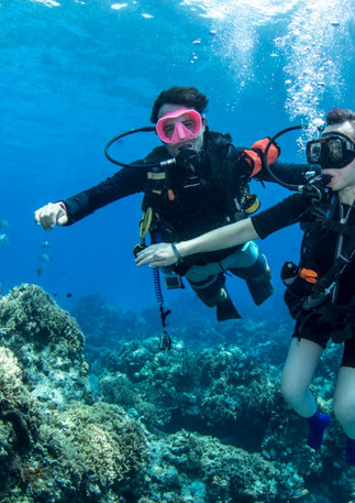 2 divers cozumel.jpeg