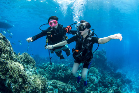 2 plongeurs cozumel.jpeg