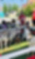 F4428FC2-6DD7-44E3-98A4-0240CE6179D7.jpeg