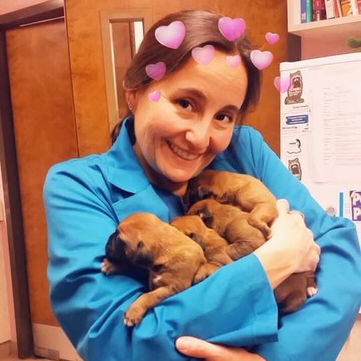 cute photo with puppies.jpg