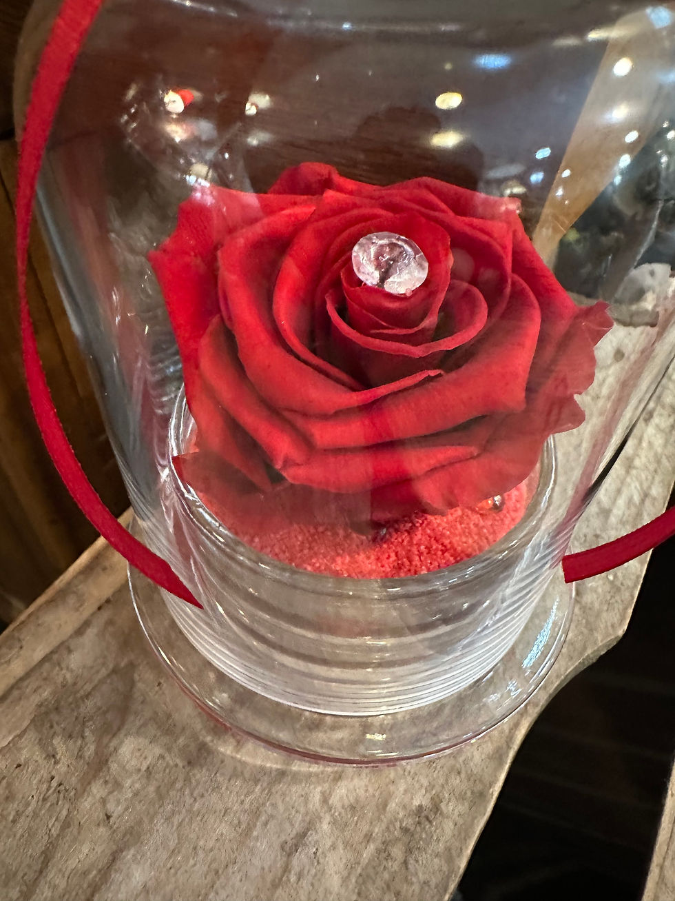 Miniature : Rose éternelle cloche