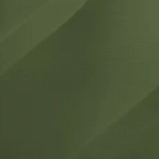 Couleur Vert foncé matte