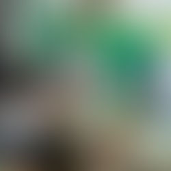 El jardín circular, un espacio dinámico.