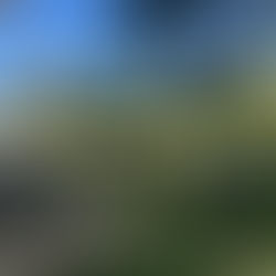 Nuestra aula se transforma!