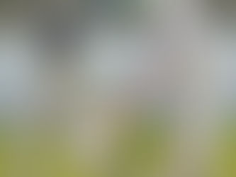 Baildon CC Weekend Preview 13th of August