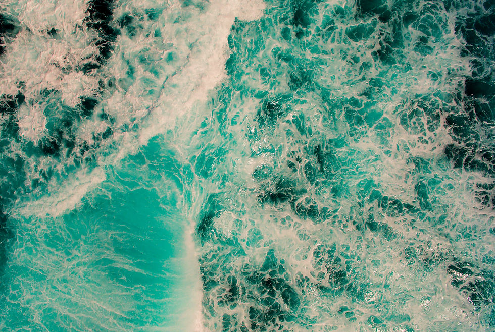 stocksnap-sea-2601374_edited.jpg