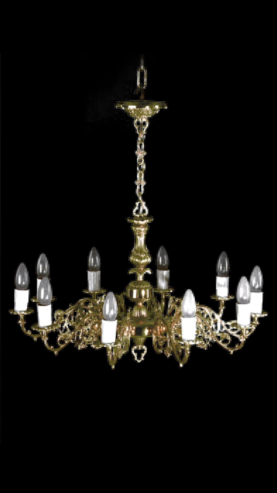 Z11 -  IŻYK ŻYRANDOL