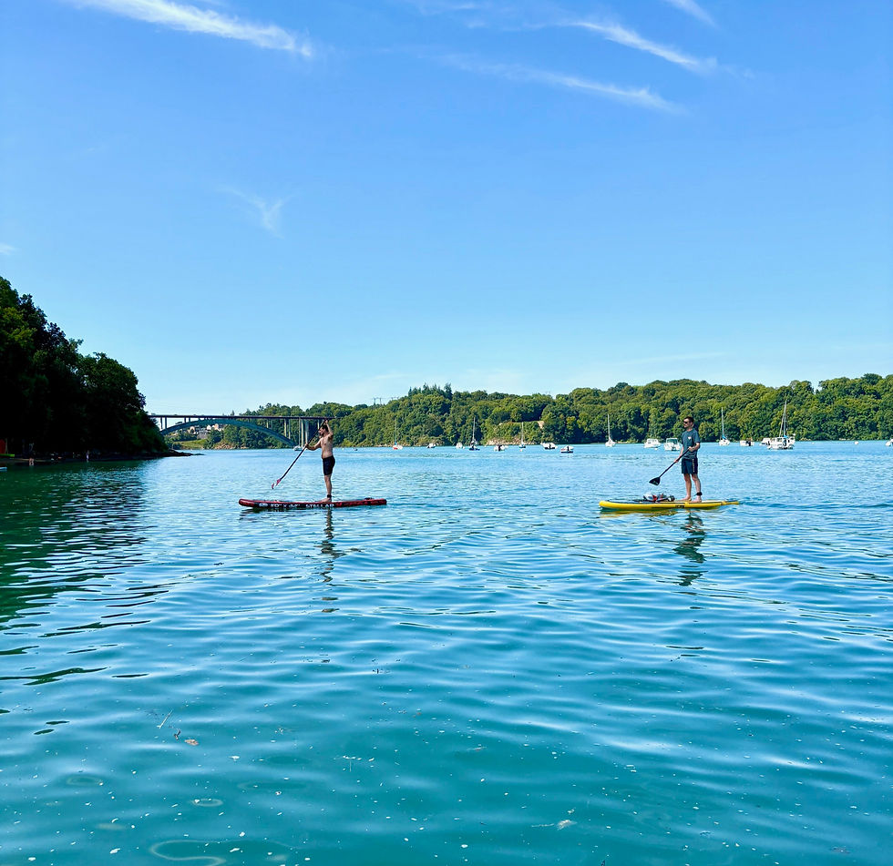 Sortie paddle en Rance, Plouer sur Rance