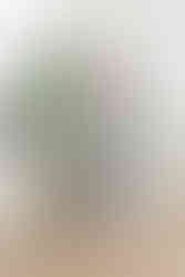 Happy family wearing color-coordinated Baju Kurung during a Raya studio photography session