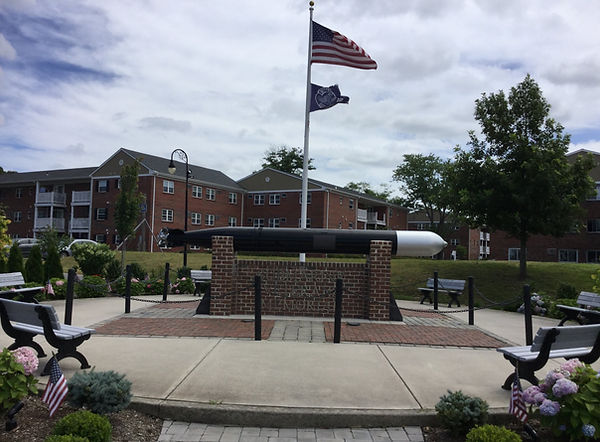 torp w flag 2_edited.jpg