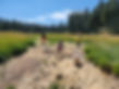 20220803_141454.jpg