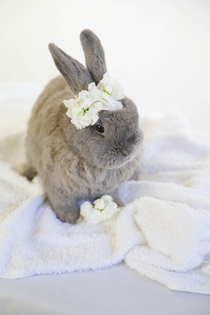 Happy FriYAY from Blizzy!