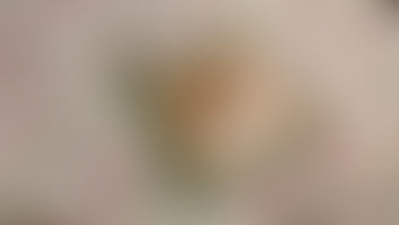 Quilted Potholder (Log Cabin)