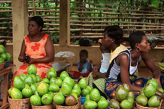 togo014.jpg